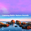 Calming Baltic Nature Sounds