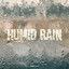 Humid Rain
