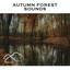 Autumn Forest Sounds