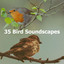 35 Bird Soundscapes