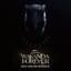 Black Panther: Wakanda Forever - 