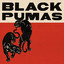 Black Pumas (Deluxe / Spotify Sin