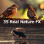 35 Real Nature FX