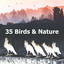 35 Birds & Nature