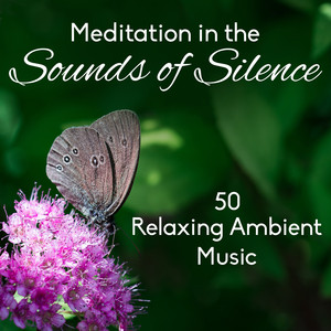 Meditation in the Sounds of Silen