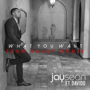 What You Want (Team Salut Remix)