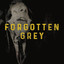 Forgotten Grey