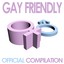 Gay Friendly, Vol.1