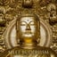 Meet Buddhism (Discover Your Path