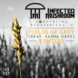 Fields of Grey (feat. Sasha Grey)