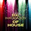 Real Imagination Of House