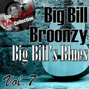 Big Bill's Blues Vol. 7 - 