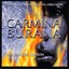 Orff: Carmina Burana - The Singer