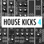 House Kicks 4
