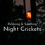 Night Crickets (Relaxing & Soothi