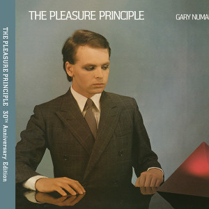 The Pleasure Principle (expanded 