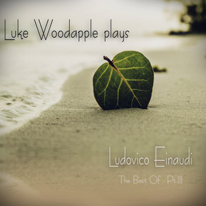Luke Woodapple Plays Ludovico Ein