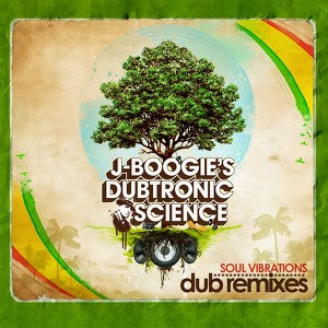 Soul Vibrations Dub Remixes
