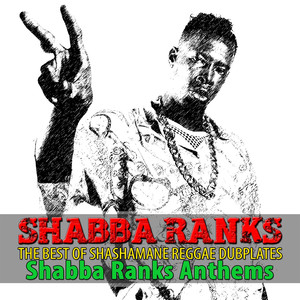The Best of Shashamane Reggae Dub