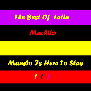 Mambo Is Here To Stay