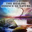 The Healing Essence of Nature
