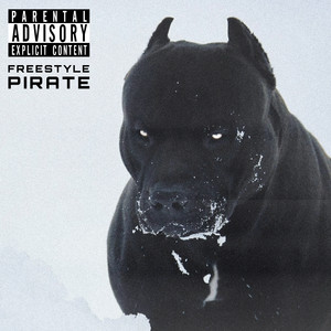 FREESTYLE PIRATE