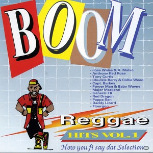 Boom Reggae Hits Vol. 1