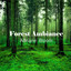 Forest Ambiance