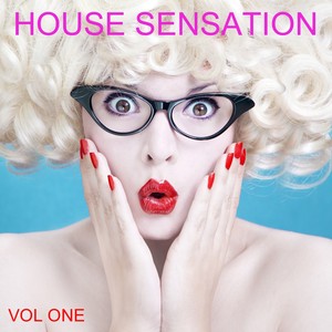 House  Sensation, Vol. 1