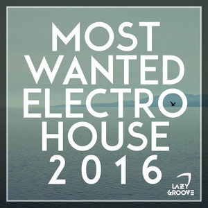 Most Wanted Electro House 2016
