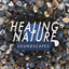 Healing Nature Soundscapes
