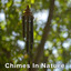 Chimes in Nature