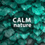 Calm Nature  Nature Music to Hel