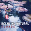 Relaxing Natural Sounds  Nature 