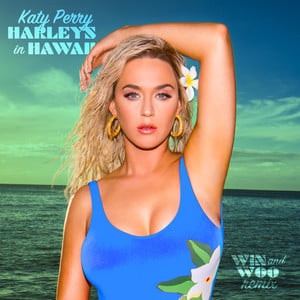 Harleys In Hawaii (Win and Woo Re