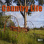 Country Life Vol 1