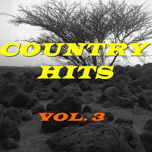 Country Hits, Vol. 3