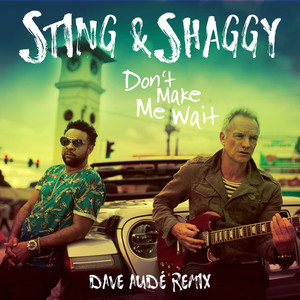 Don't Make Me Wait (with Shaggy) 