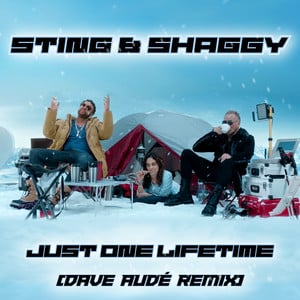 Just One Lifetime (with Shaggy & 