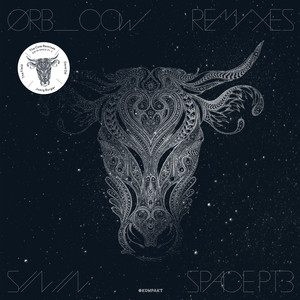 The Cow Remixes - Sin In Space, P
