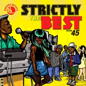 Strictly The Best Vol. 45