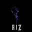 RIZ Instrumentals Vol. 2