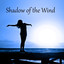 Shadow of the Wind - Anti Stress 