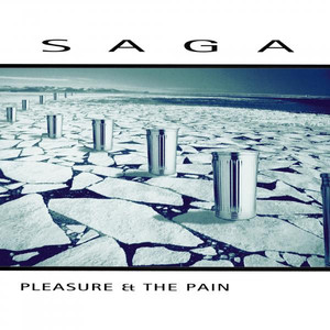 Pleasure and the Pain (2015 Versi