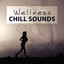 Wellness Chill Sounds  Healing M