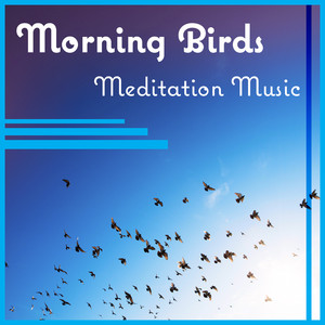 Morning Birds  Meditation Music: