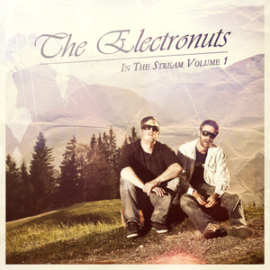 The Electronuts In The Stream Vol