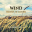 Wind (Sounds of Nature)