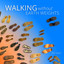Walking Without Earth Weights