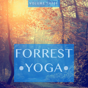 Forrest Yoga, Vol. 3 (Feel The In